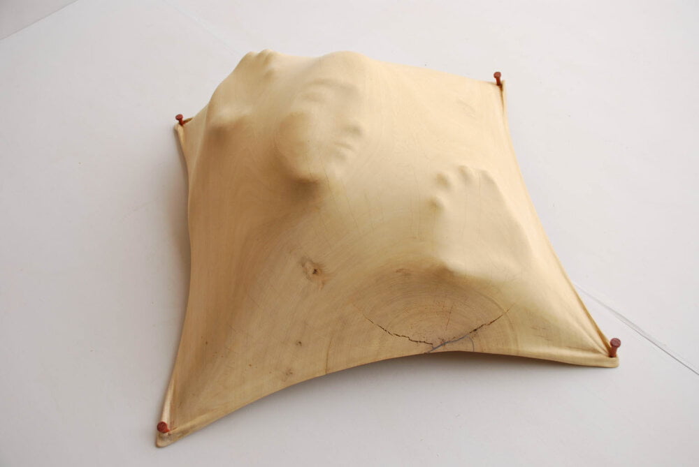 Amazing Carved Wood Sculptures That Look Like People And Objects Are Trapped Inside By Tung Ming Chin 10