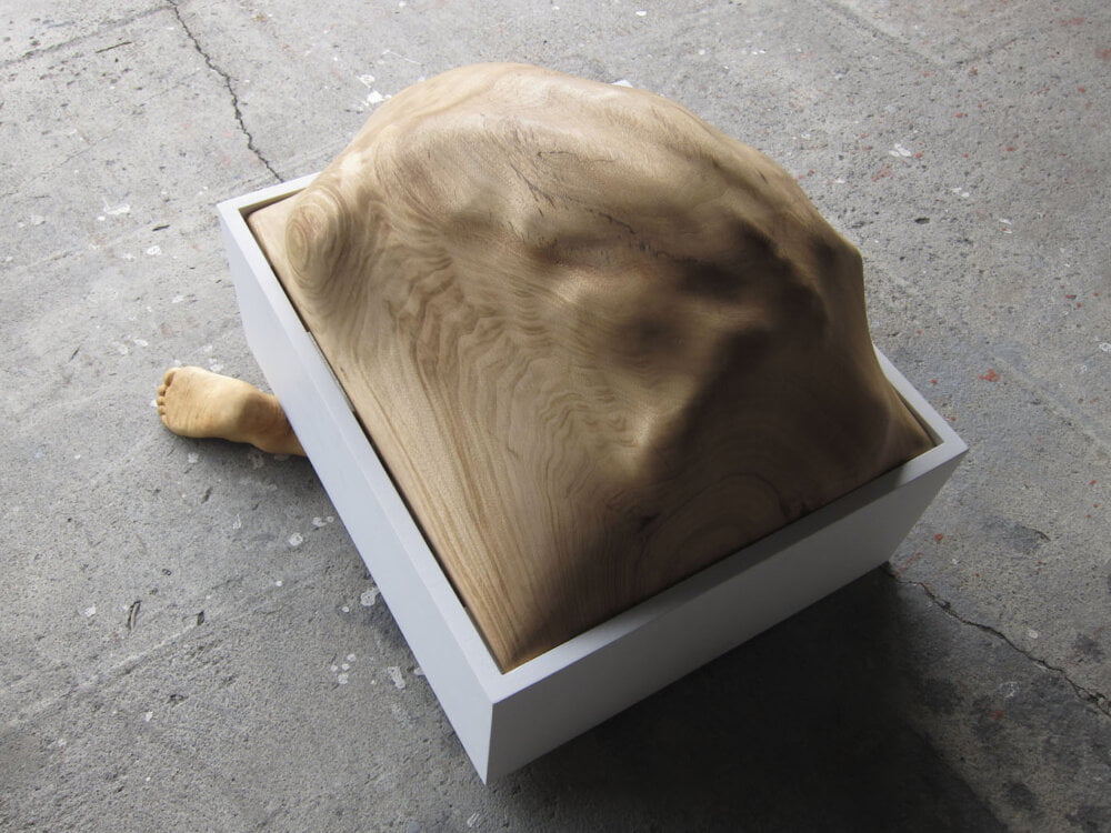 Amazing Carved Wood Sculptures That Look Like People And Objects Are Trapped Inside By Tung Ming Chin 11