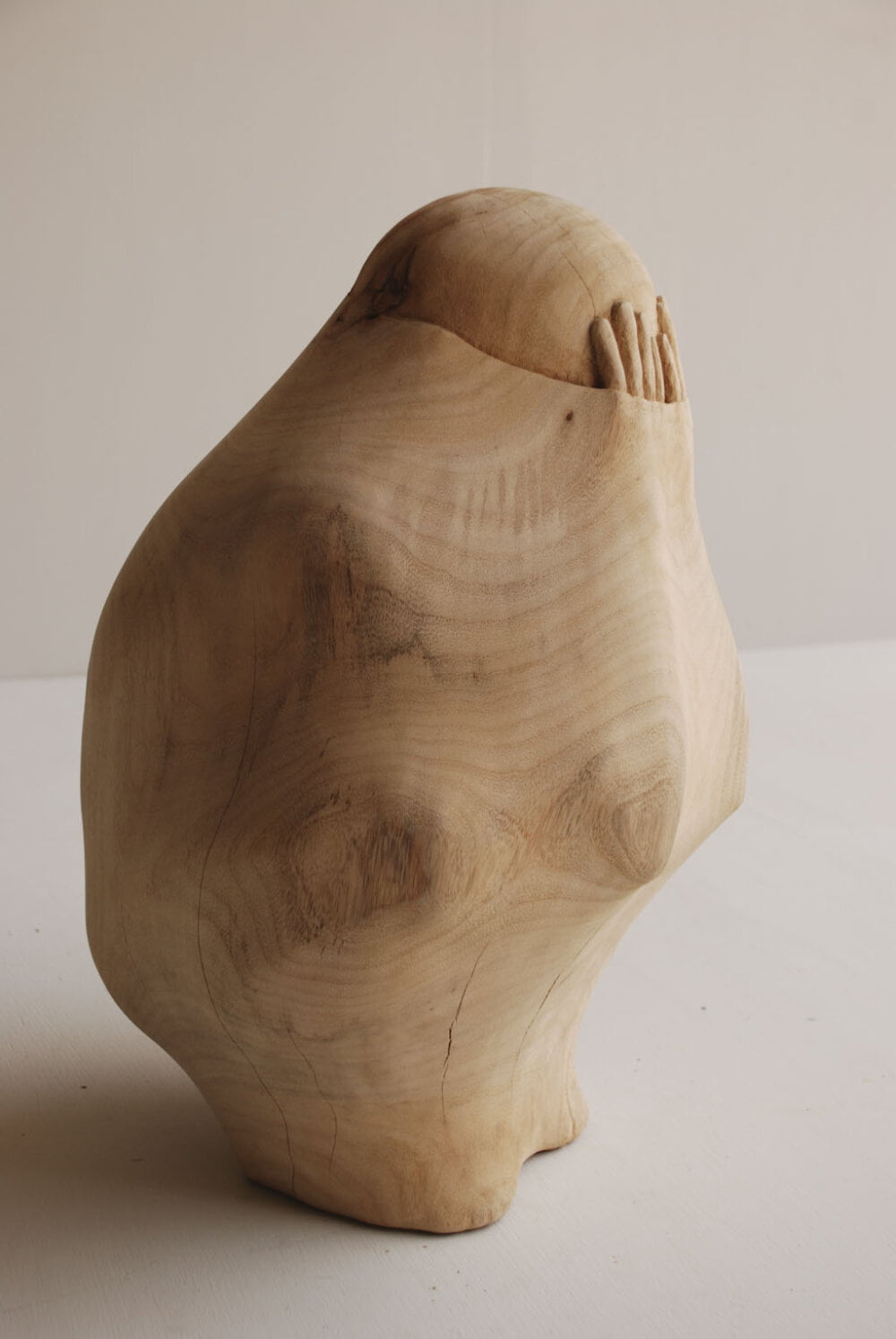 Amazing Carved Wood Sculptures That Look Like People And Objects Are Trapped Inside By Tung Ming Chin 2