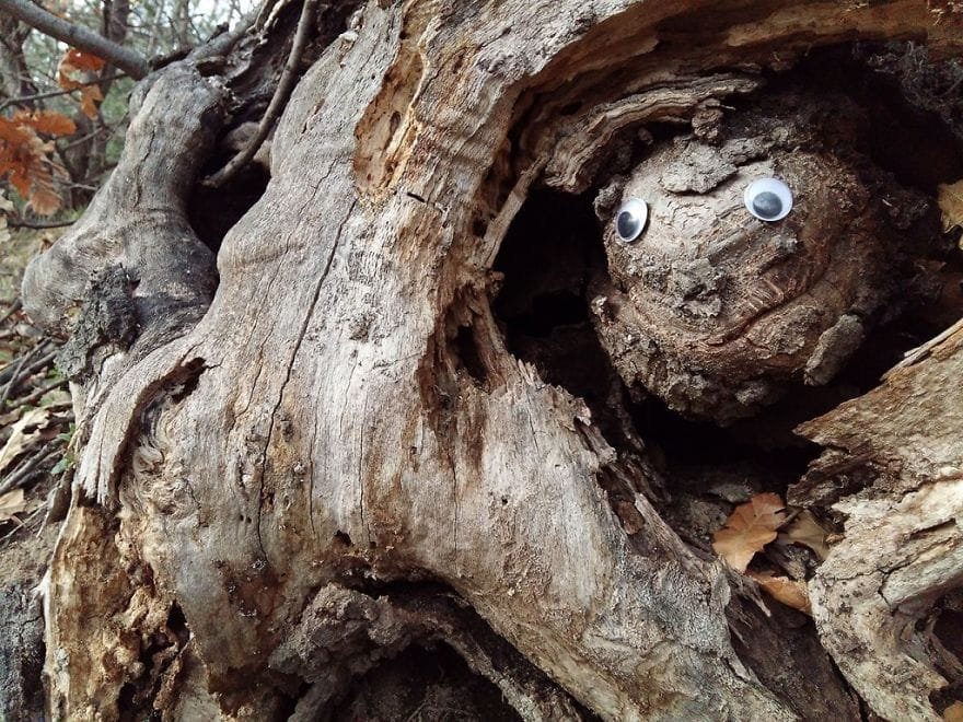 Amusing Urban Interventions By Vanyu Krastev 23