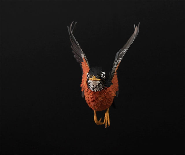 Extraordinary Bird Paper Cut Sculptures By Colombian Artist And Designer Diana Beltran Herrera 10