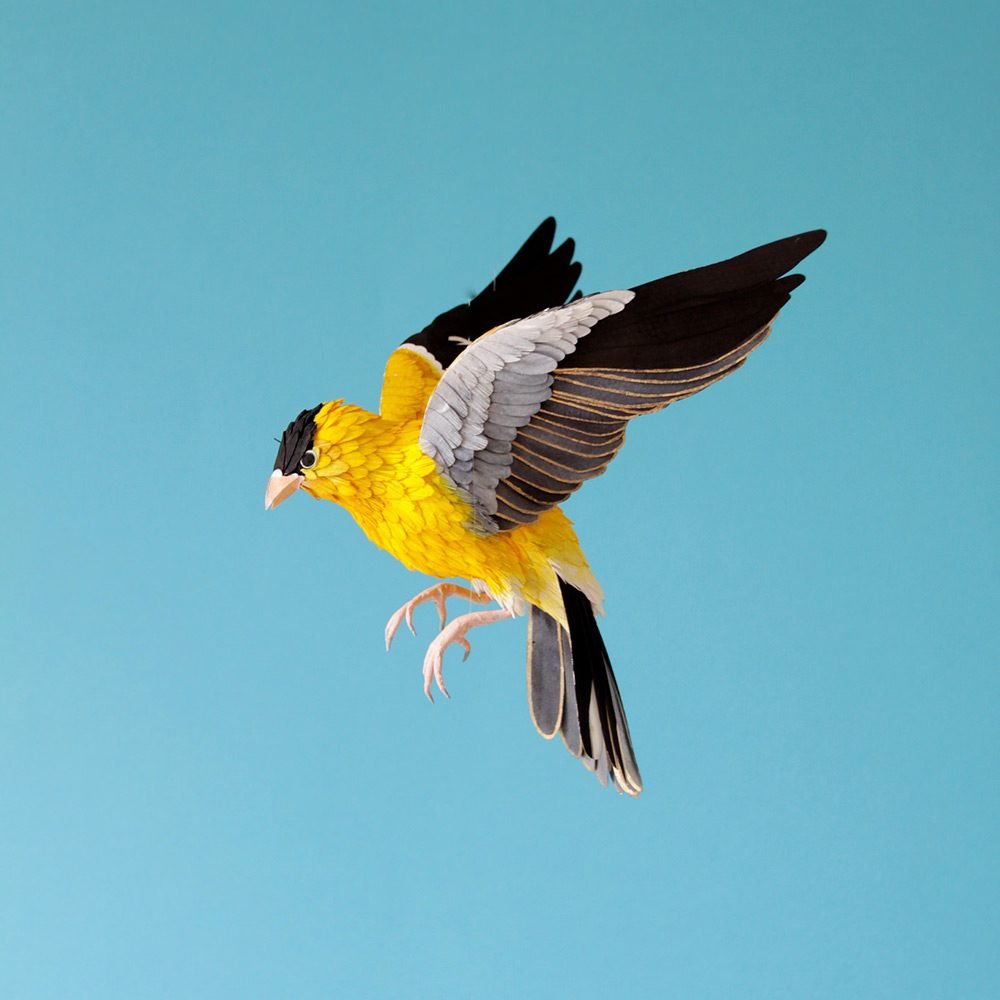 Extraordinary Bird Paper Cut Sculptures By Colombian Artist And Designer Diana Beltran Herrera 7