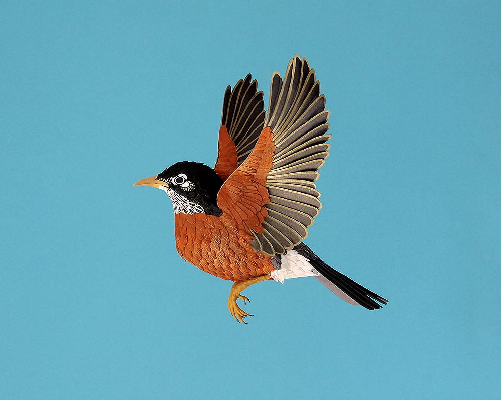 Extraordinary Bird Paper Cut Sculptures By Colombian Artist And Designer Diana Beltran Herrera 8