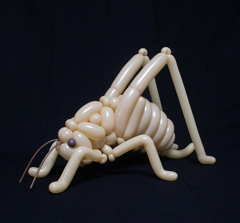 Fantastic Plant And Animal Twisted Balloon Sculptures By Masayoshi Matsumoto 29