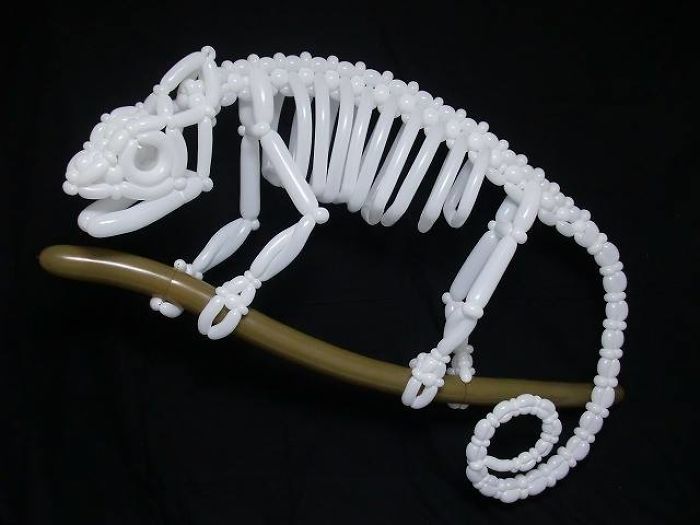 Fantastic Plant And Animal Twisted Balloon Sculptures By Masayoshi Matsumoto 3