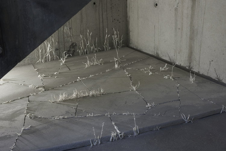 Porcelain Art Pieces By Katie Spragg 11