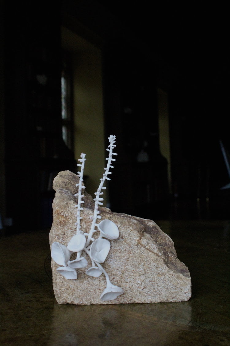 Porcelain Art Pieces By Katie Spragg 7