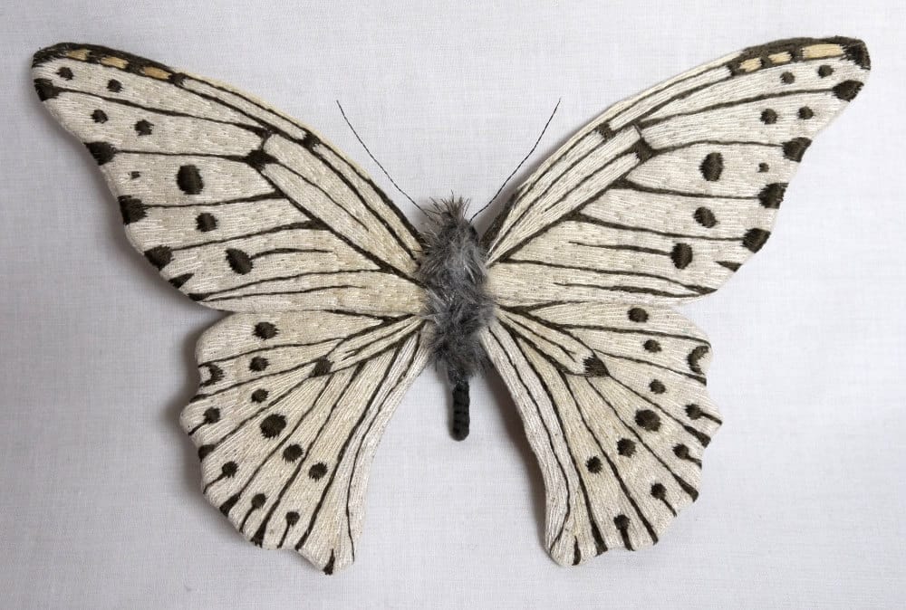 Textile Sculptures Of Moths Butterflies And Other Insects Made With Fabric And Embroidery By Yumi Okita 3