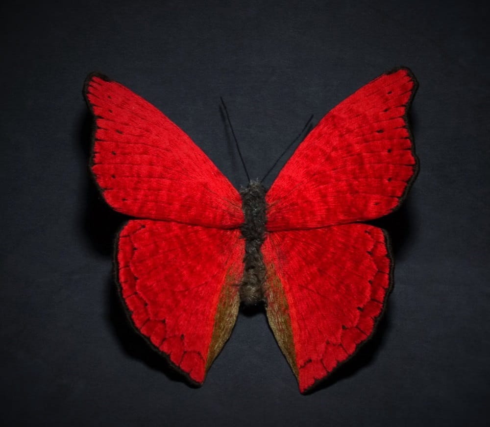 Textile Sculptures Of Moths Butterflies And Other Insects Made With Fabric And Embroidery By Yumi Okita 37