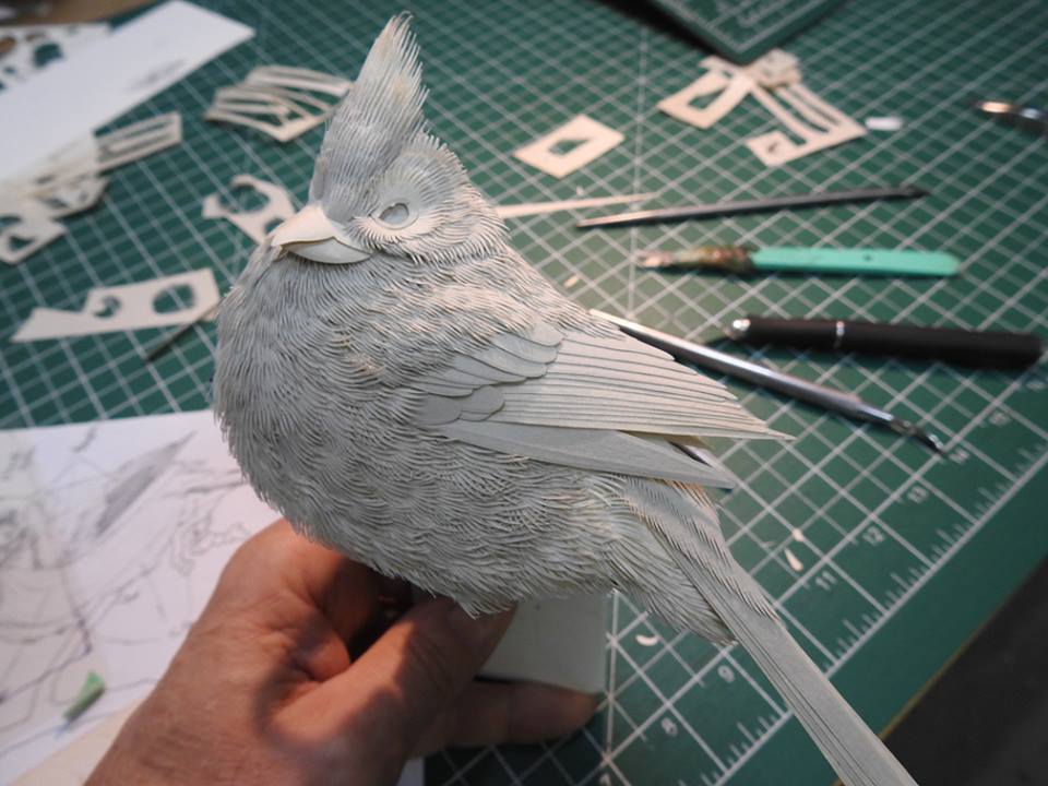 Amazingly Intricate Paper Sculptures Of Animals And Natural Landscapes By Calvin Nicholls 5