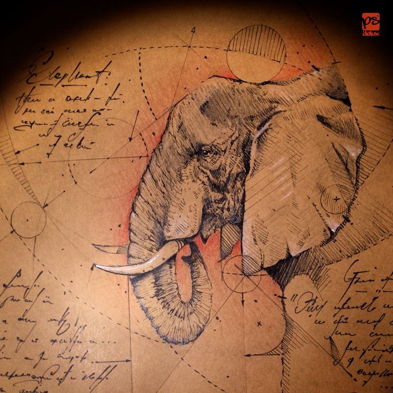 Marvelous Drawings And Sketches Made By A Mysterious Hungarian Artist 15