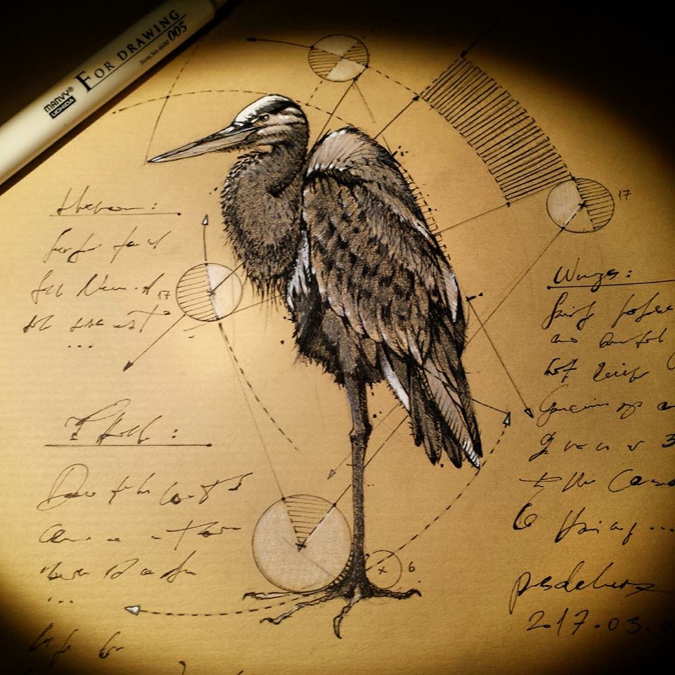 Marvelous Drawings And Sketches Made By A Mysterious Hungarian Artist 20