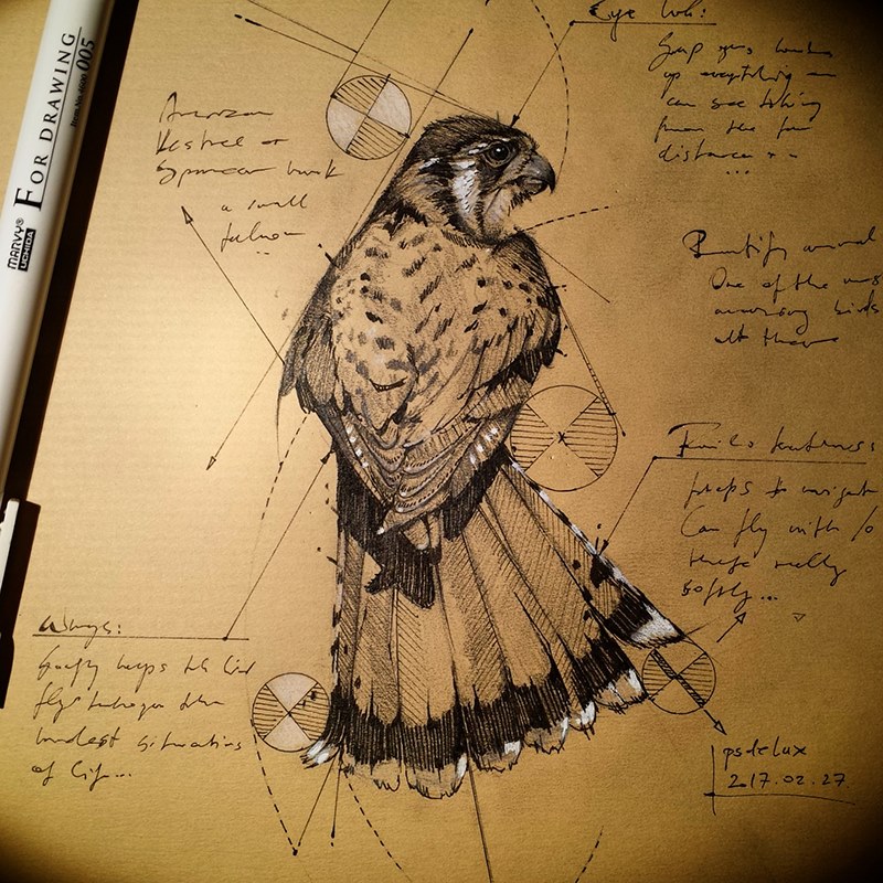 Marvelous Drawings And Sketches Made By A Mysterious Hungarian Artist 21