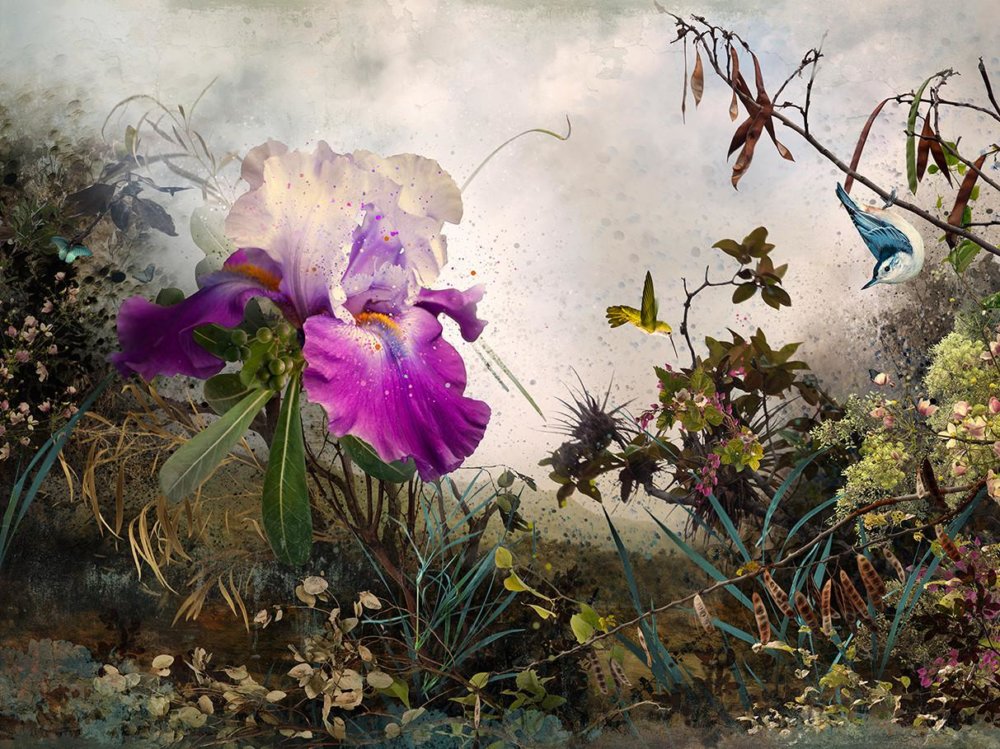 Paradisaical Digital Hypercollages By Ysabel Lemay 10