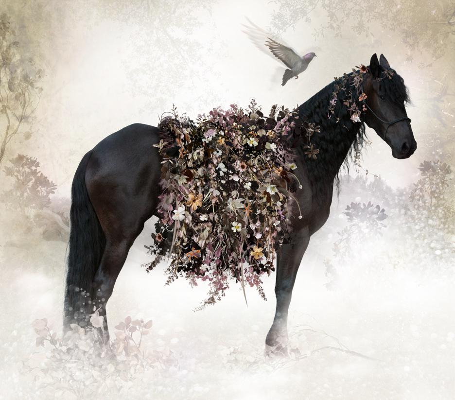 Paradisaical Digital Hypercollages By Ysabel Lemay 12