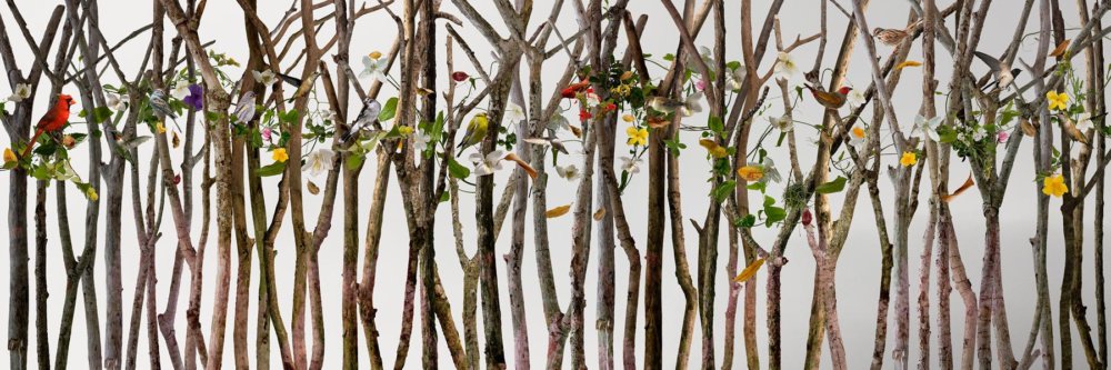 Paradisaical Digital Hypercollages By Ysabel Lemay 13