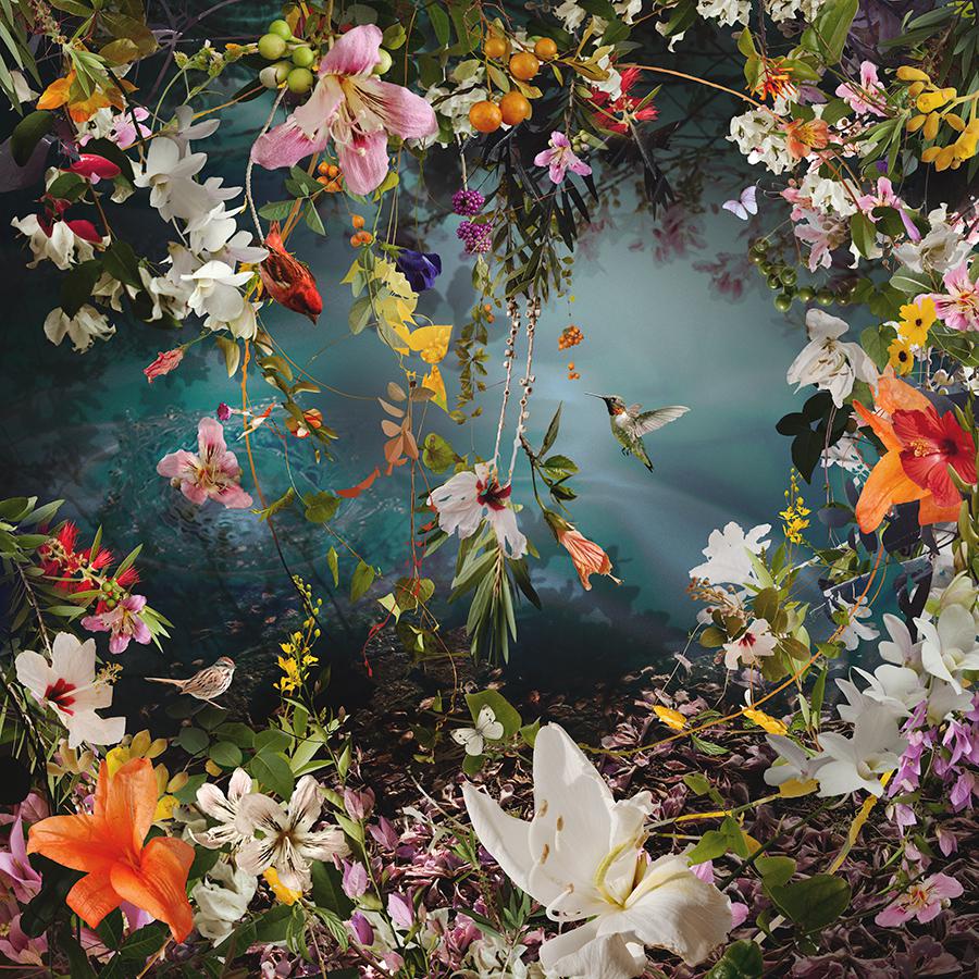 Paradisaical Digital Hypercollages By Ysabel Lemay 14