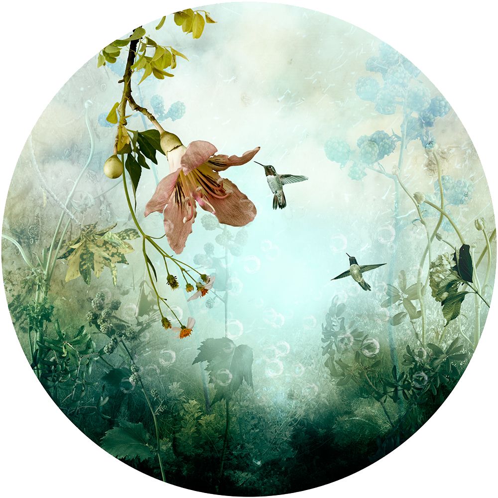 Paradisaical Digital Hypercollages By Ysabel Lemay 15