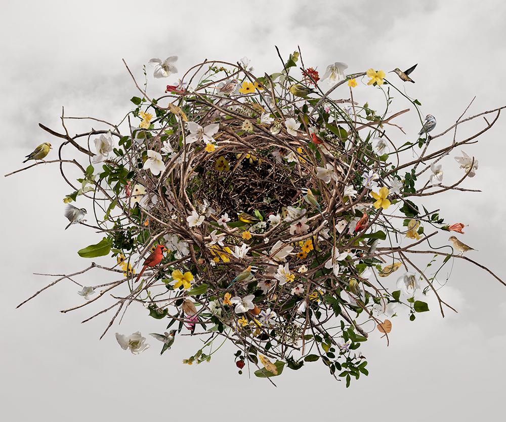 Paradisaical Digital Hypercollages By Ysabel Lemay 16