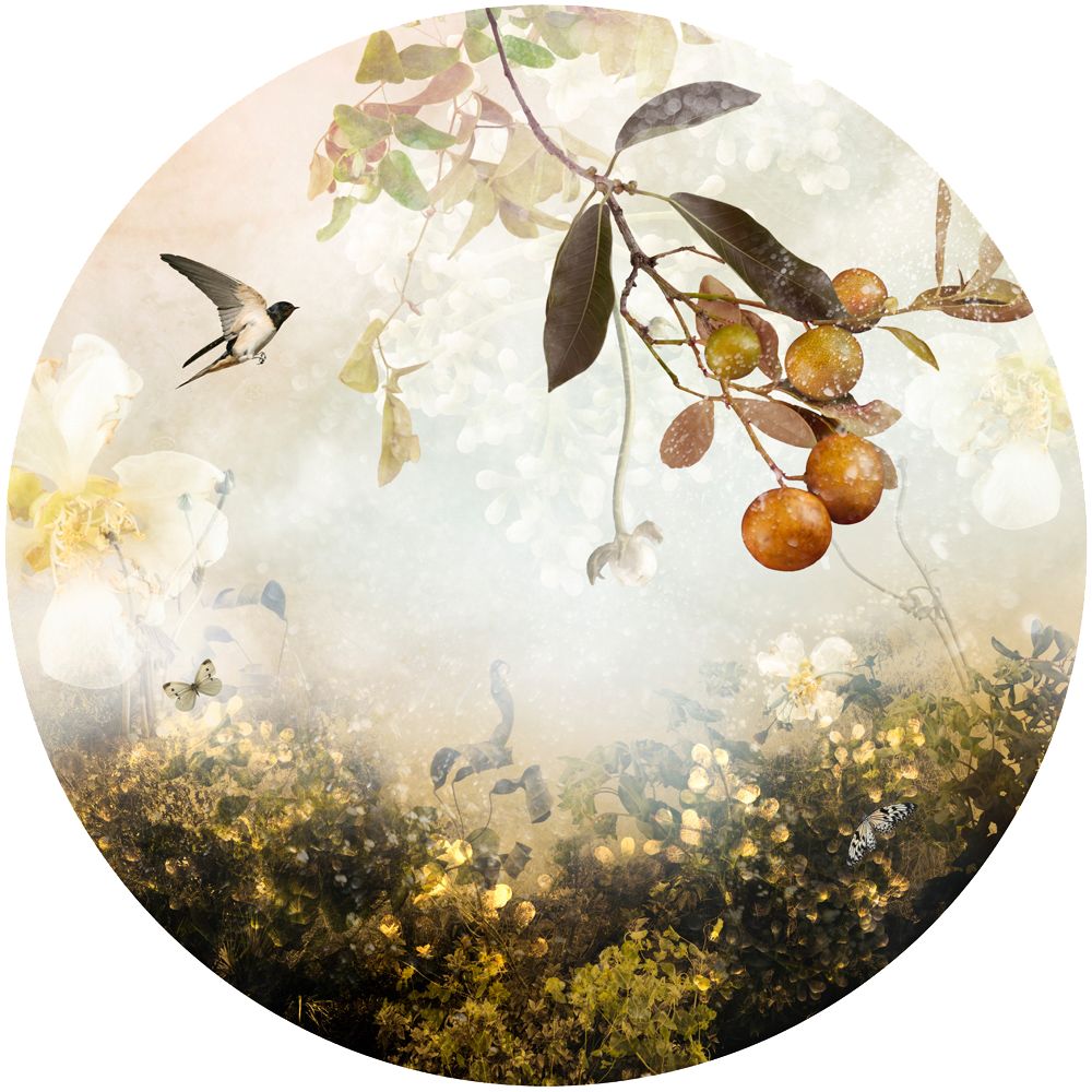 Paradisaical Digital Hypercollages By Ysabel Lemay 17