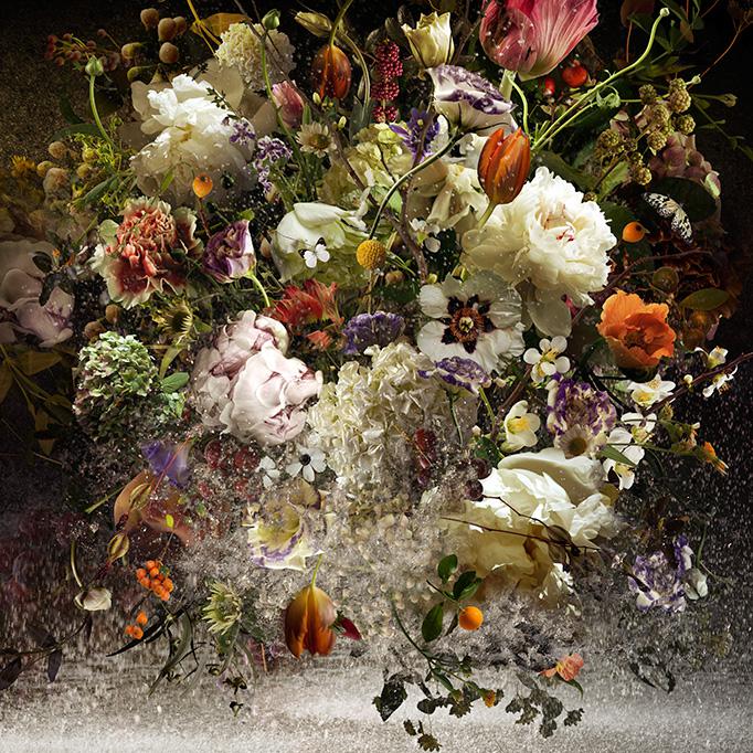 Paradisaical Digital Hypercollages By Ysabel Lemay 18