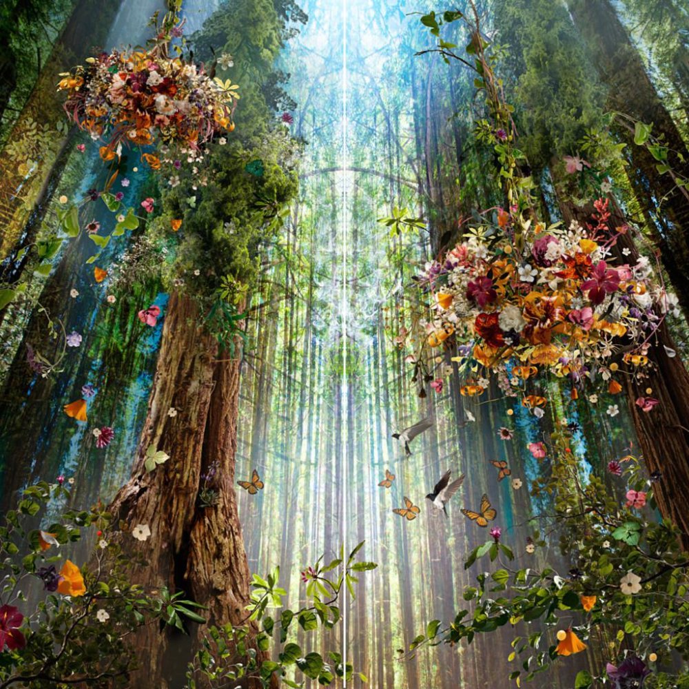 Paradisaical Digital Hypercollages By Ysabel Lemay 23