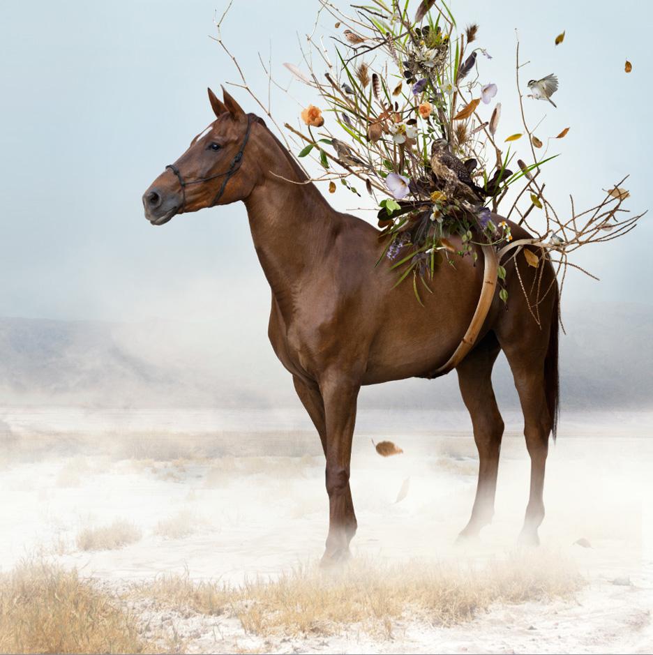 Paradisaical Digital Hypercollages By Ysabel Lemay 27