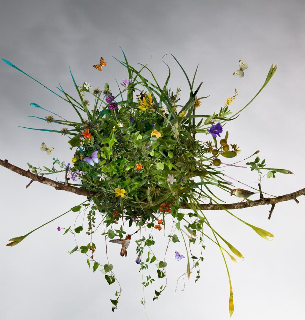 Paradisaical Digital Hypercollages By Ysabel Lemay 28