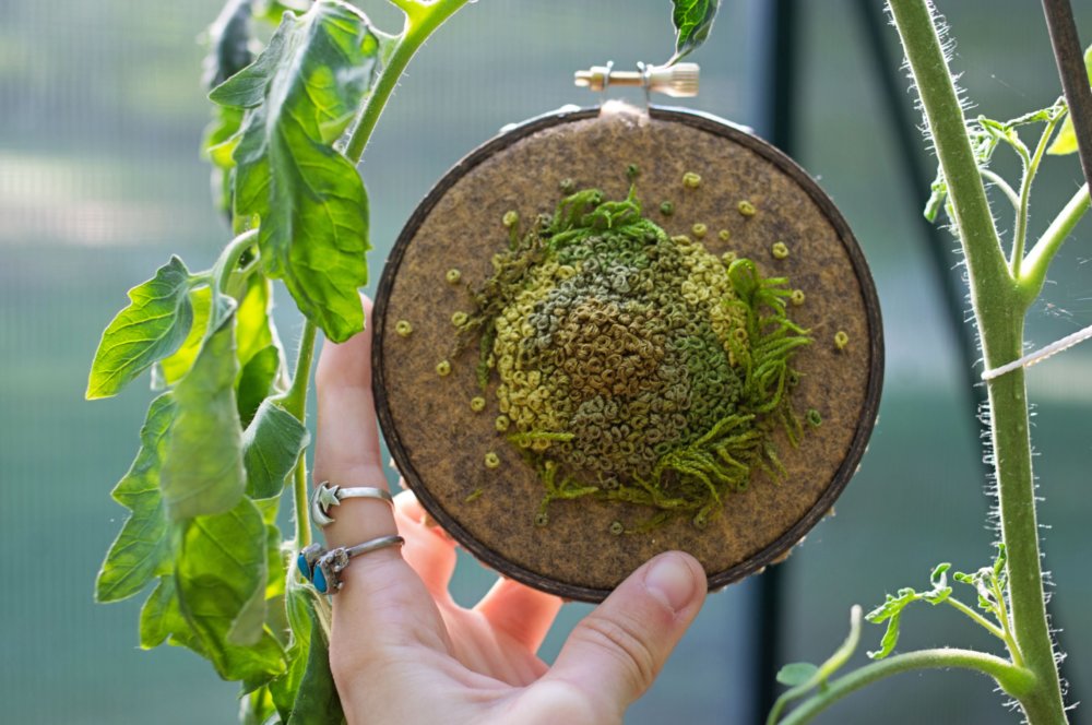 Showy And Intricate Moss Embroideries By Emma Mattson 10