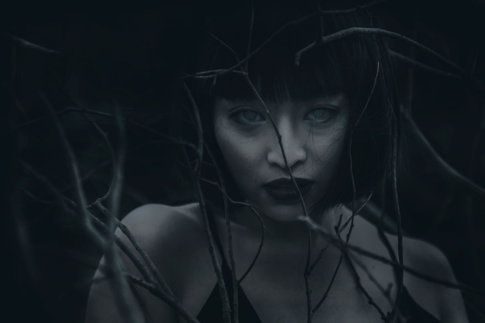 The Dark And Arcane Photography Of Karina Boissonnier 2