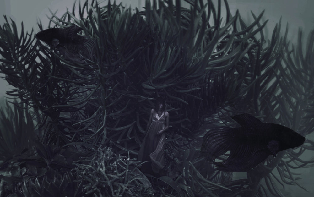 The Dark And Arcane Photography Of Karina Boissonnier 6