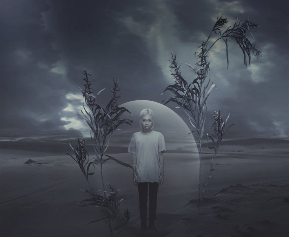 The Dark And Arcane Photography Of Karina Boissonnier 7