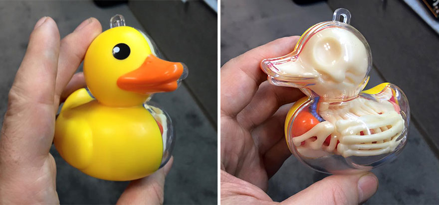 The Internal Anatomy Of Popular Toys Revealed By The Sculptures Of Jason Freeny 3