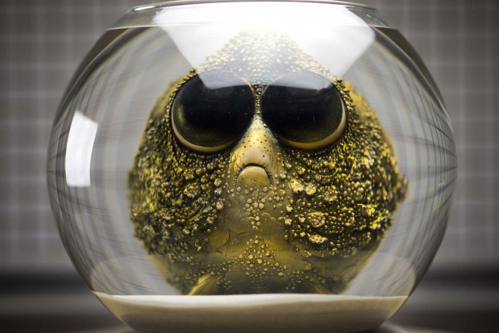 The Most Gracious Monsters That Youve Never Seen Before By Katyushka Dolls 15