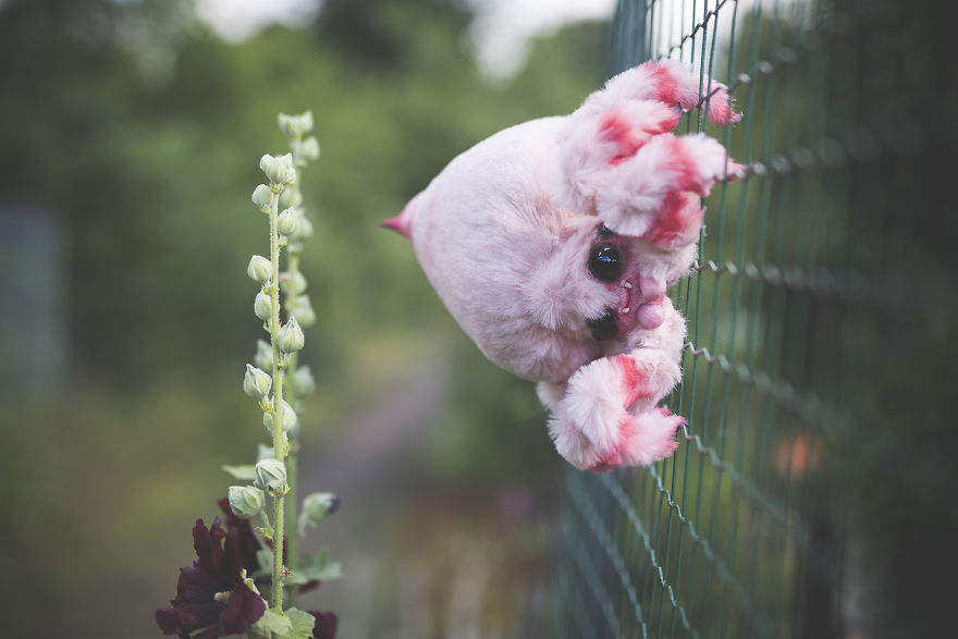 The Most Gracious Monsters That Youve Never Seen Before By Katyushka Dolls 46