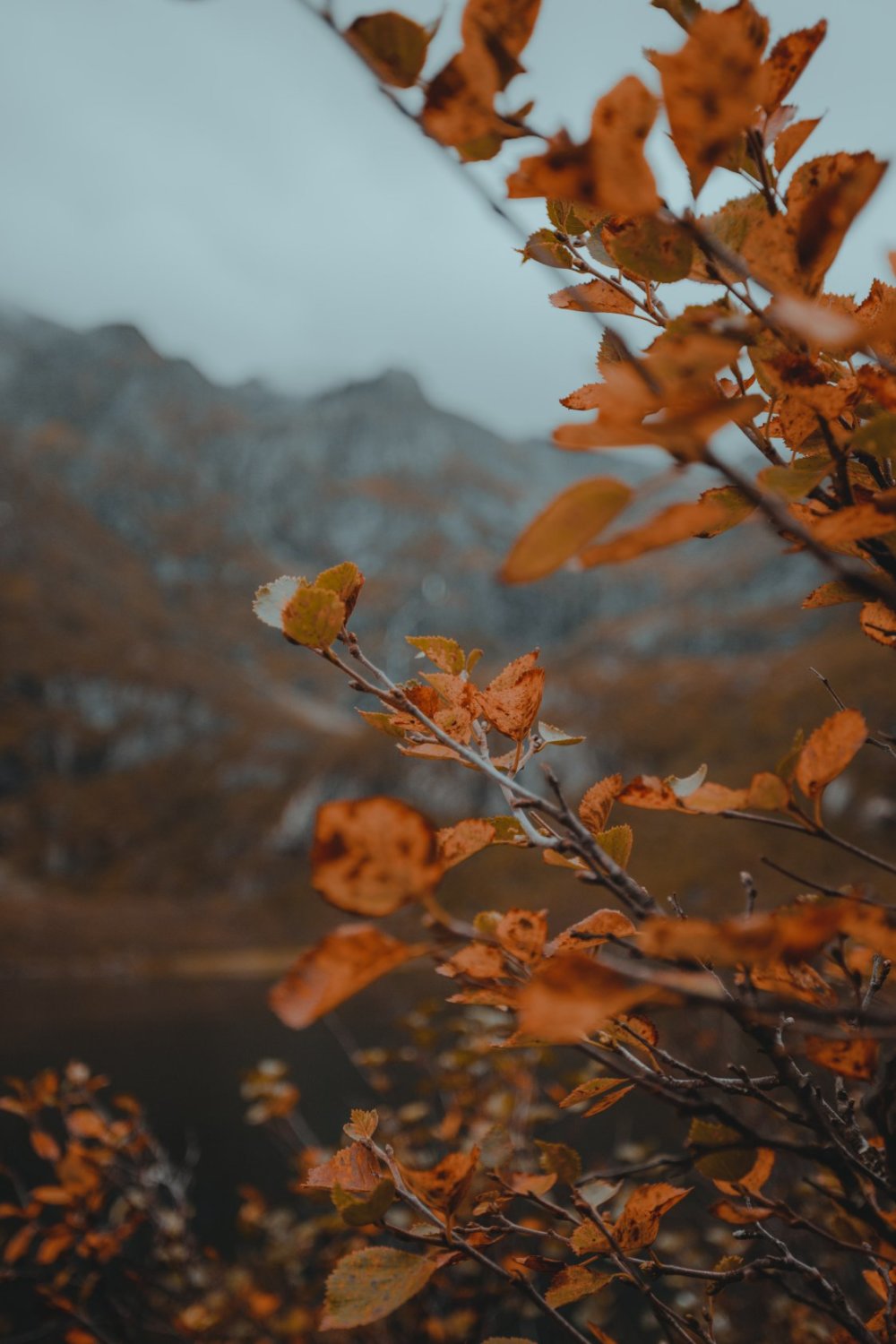 Amazingly Foggy And Melancholic Landscape Photographs By Chris Henry 9