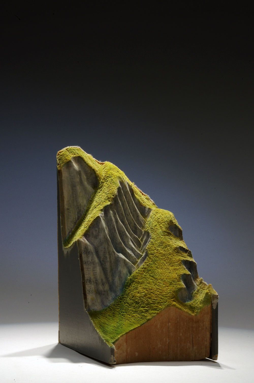 Artist Guy Laramee Turns Old Books Into Stunningly Natural Landscape Sculptures 22