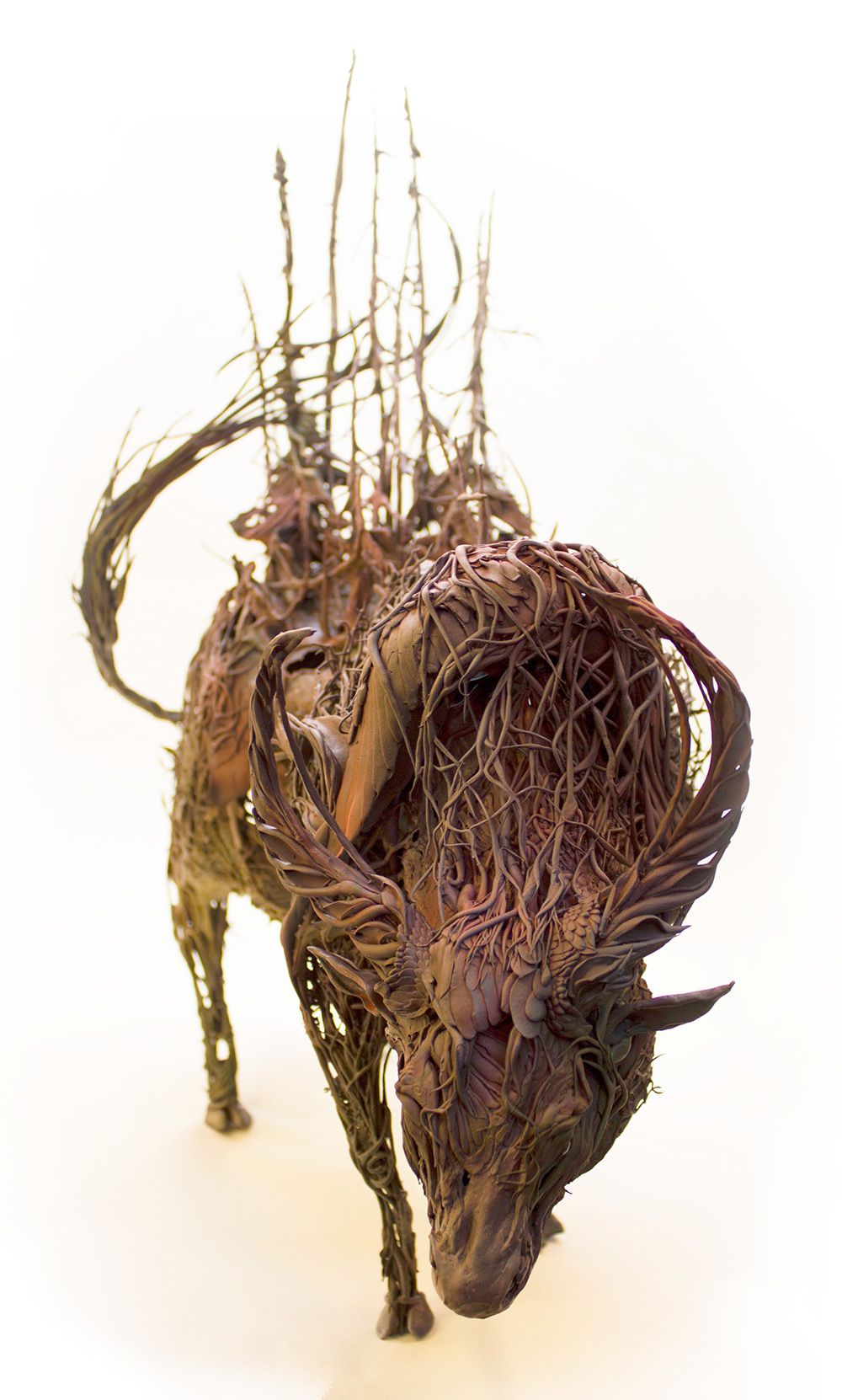 Lush And Surreal Sculptures Of Symbiotic Animals By Ellen Jewett 5