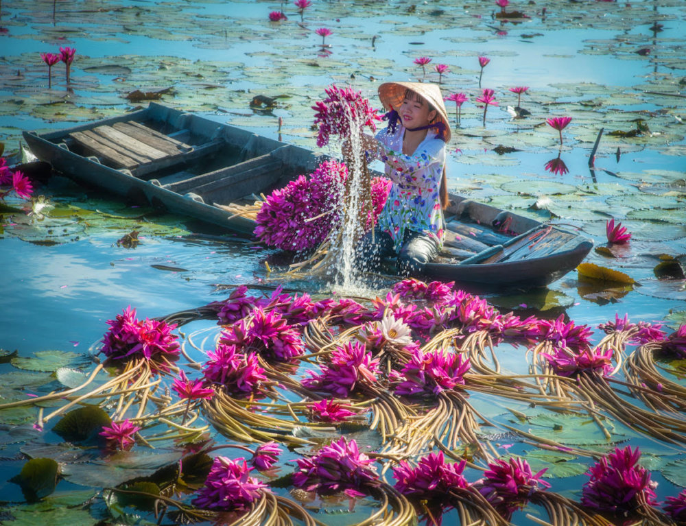 Beautiful Shots Of The Water Lily Harvest In Vietnam Captured By The Lens Of Pham Huy Trung 5