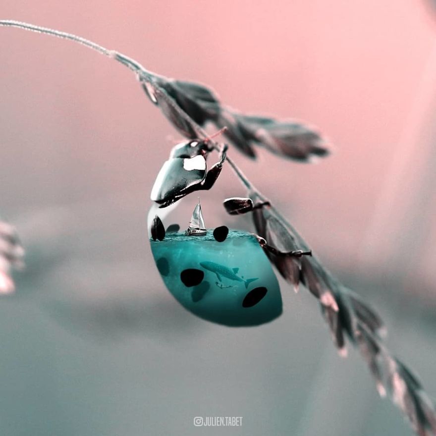 Clever Digital Photo Manipulations By Julien Tabet 19