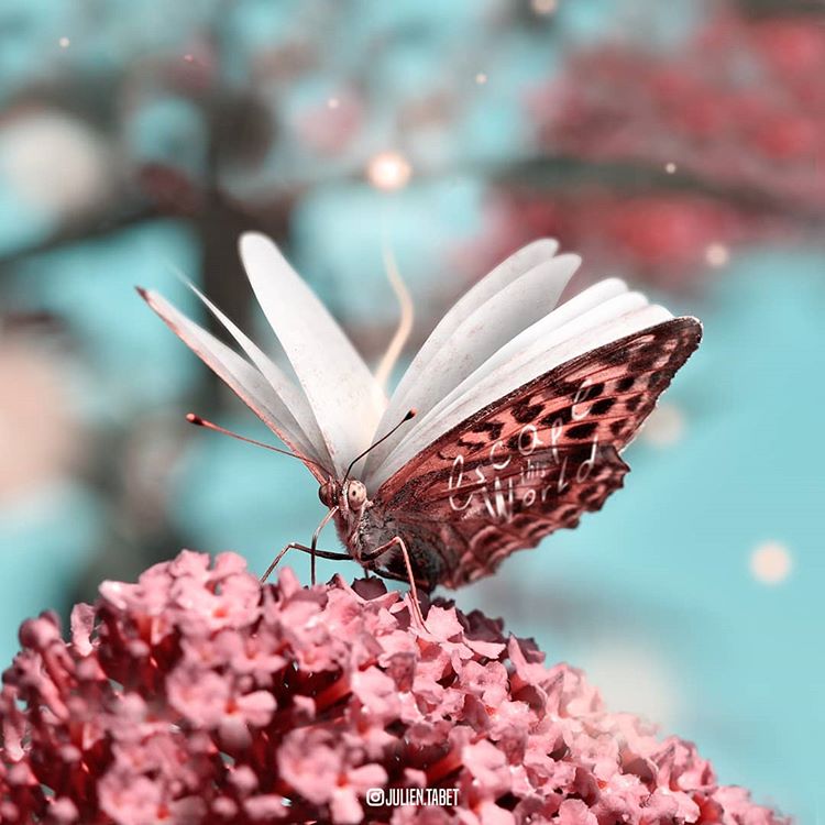 Clever Digital Photo Manipulations By Julien Tabet 21