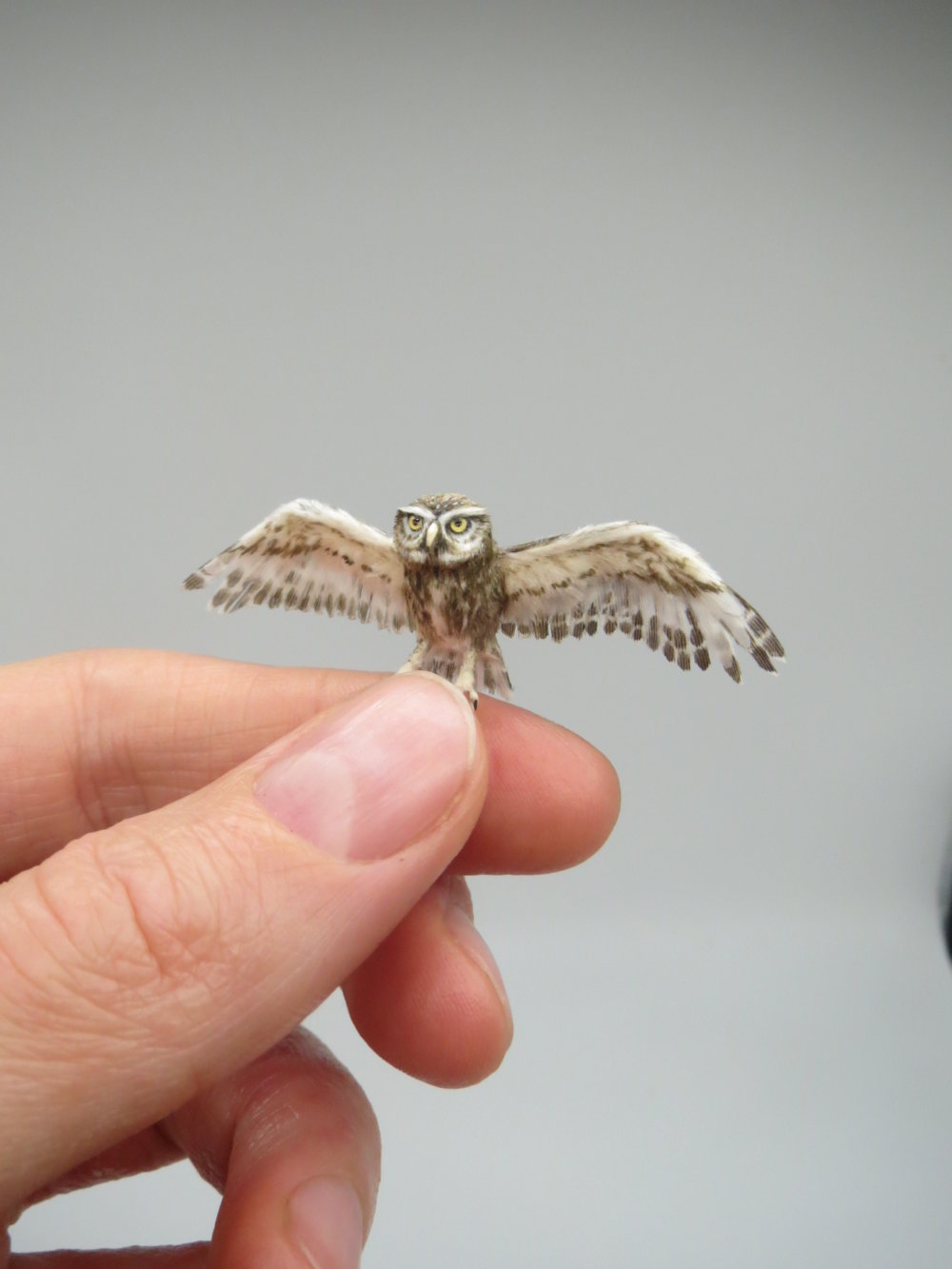 Hyper Accurate Miniature Animals By Fanni Sandor 14