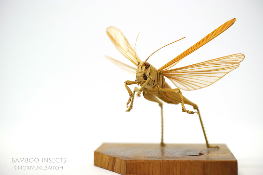 Intricate Life Like Insect Sculptures Made From Bamboo By Noriyuki Saitoh 23