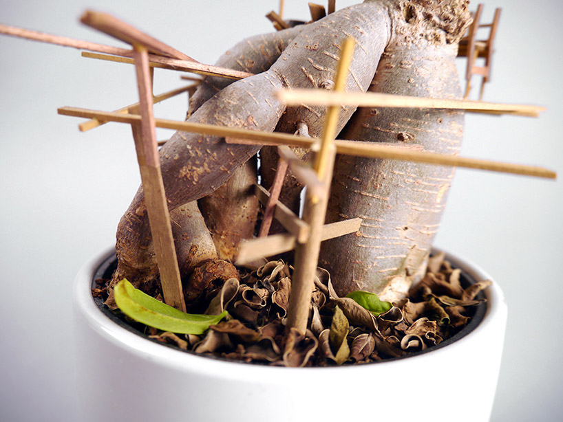 Somewhere Small Tree Houses In Miniature By Jedediah Corwyn Voltz 14