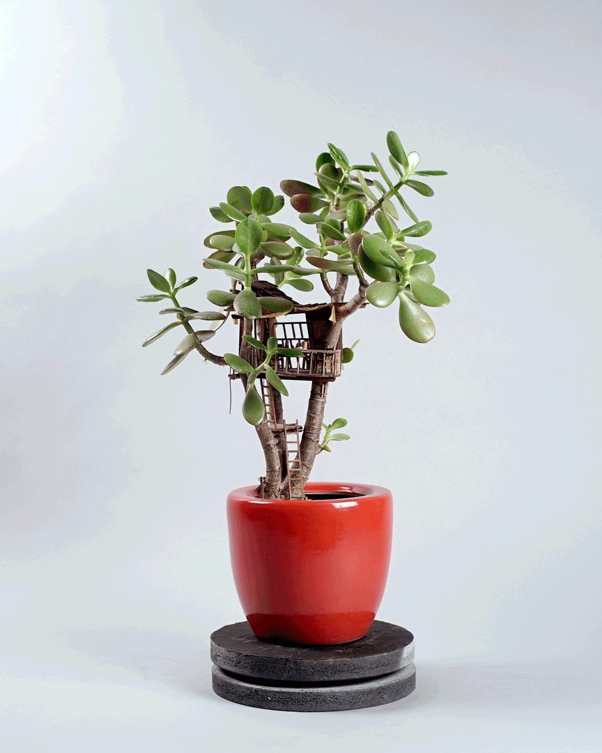 Somewhere Small Tree Houses In Miniature By Jedediah Corwyn Voltz Gif