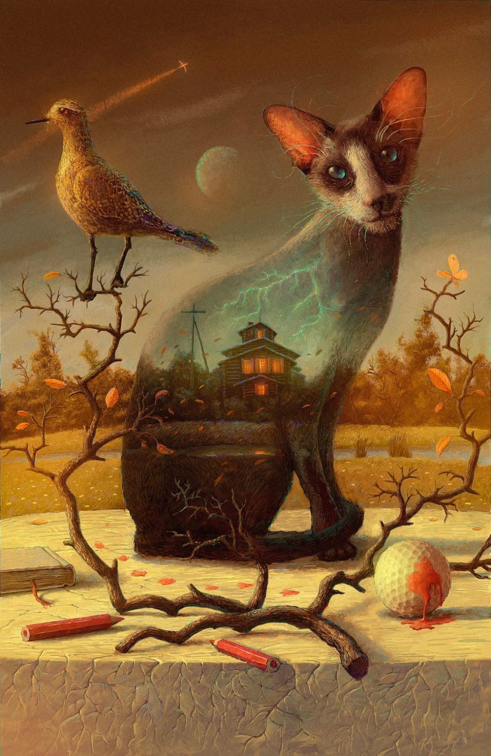 Surreal And Imaginative Book Illustrations By Andrew Ferez 4
