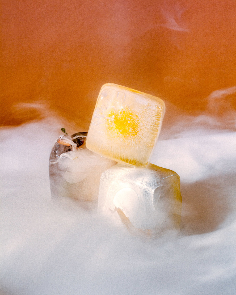 The Intriguing Still Life Photography Of Joon Lee 6