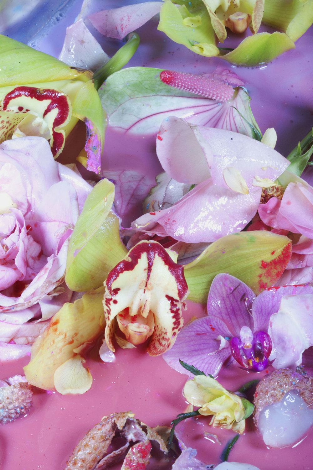 The Visceral Photography Of Maisie Cousins 10