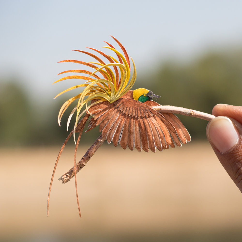 Awesome Bird Paper Cut Sculptures In Miniature By Vaishali Chudasama 10