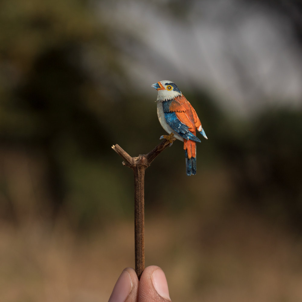 Awesome Bird Paper Cut Sculptures In Miniature By Vaishali Chudasama 11